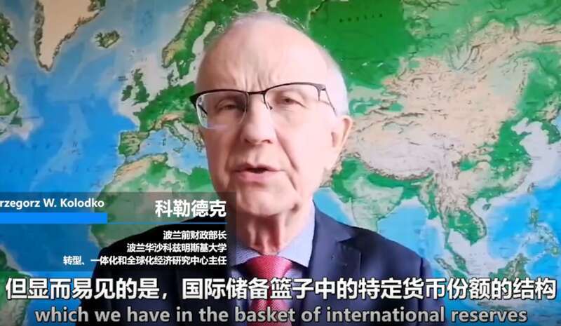 波兰前财长：美元正在失去霸权地位，人民币将扮演越来越重要角色