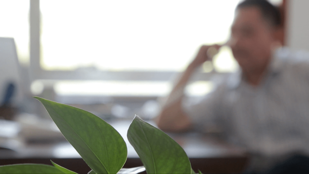 《小刚说法》第63期|天价“咨询费”