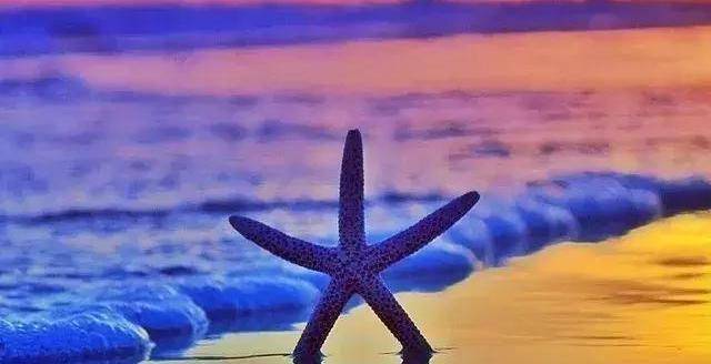 底线，值多少钱？