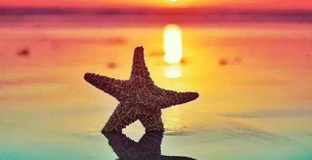 底线，值多少钱？