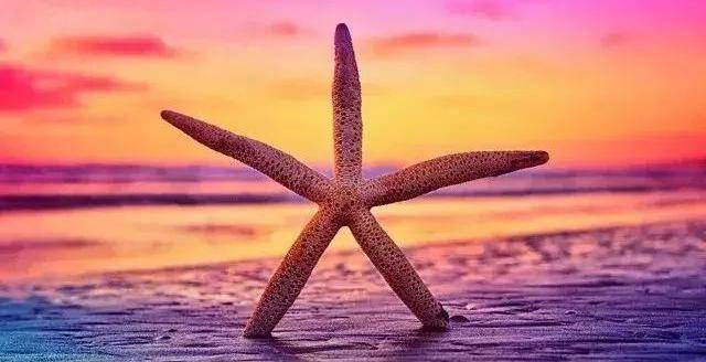 底线，值多少钱？