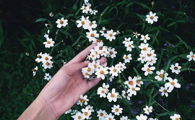 你的友情,值多少钱?