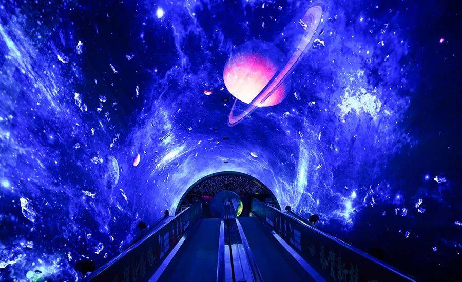 海客智能教育2022暑假VEX-VRC夏令营开启报名啦！