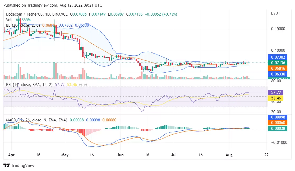 狗狗币的价格保持在重要阻力之上:会发生什么?
