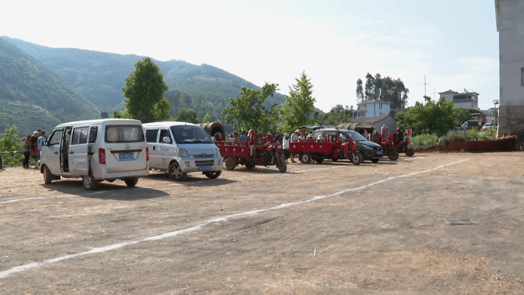 宝秀镇建起了杨梅交易市场