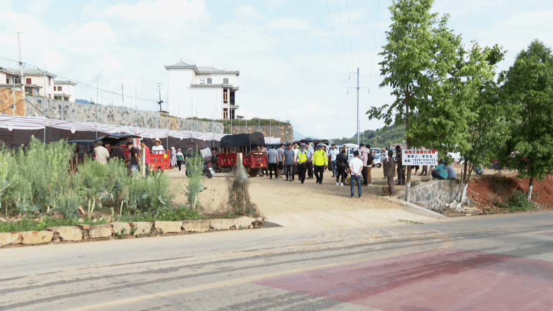 宝秀镇建起了杨梅交易市场