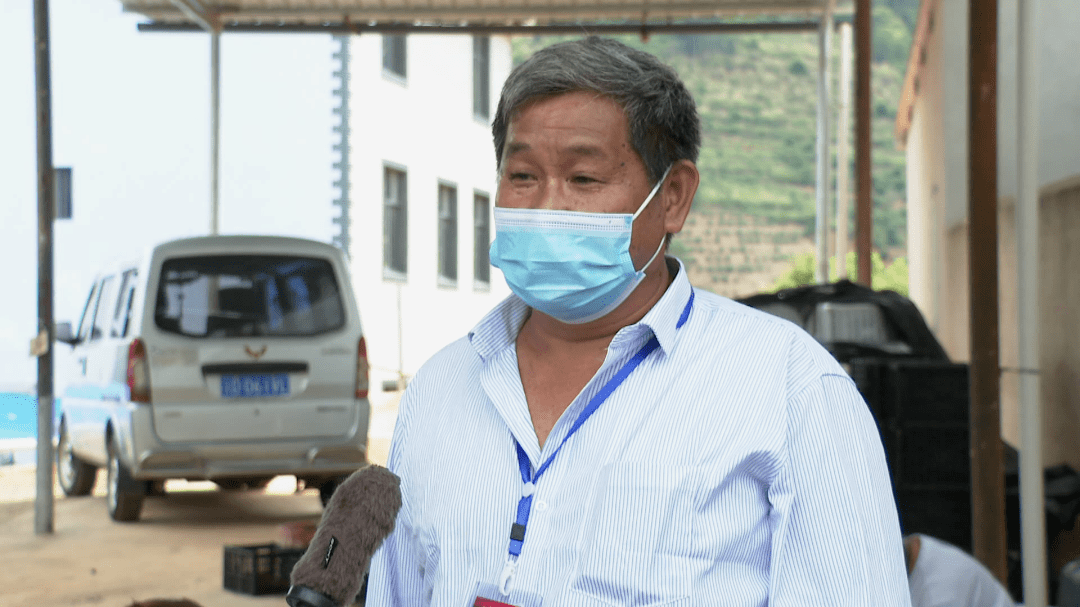 宝秀镇建起了杨梅交易市场