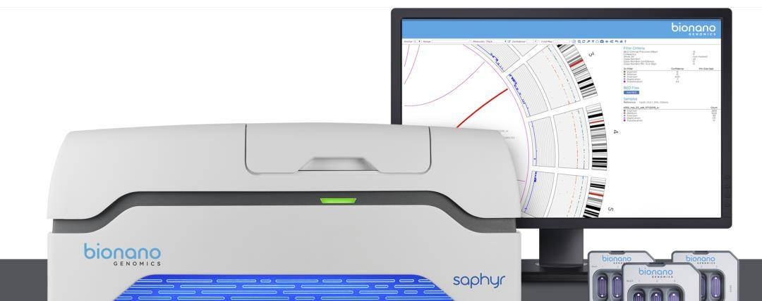 Bionano Saphyr系统数据产出及数据分析性能