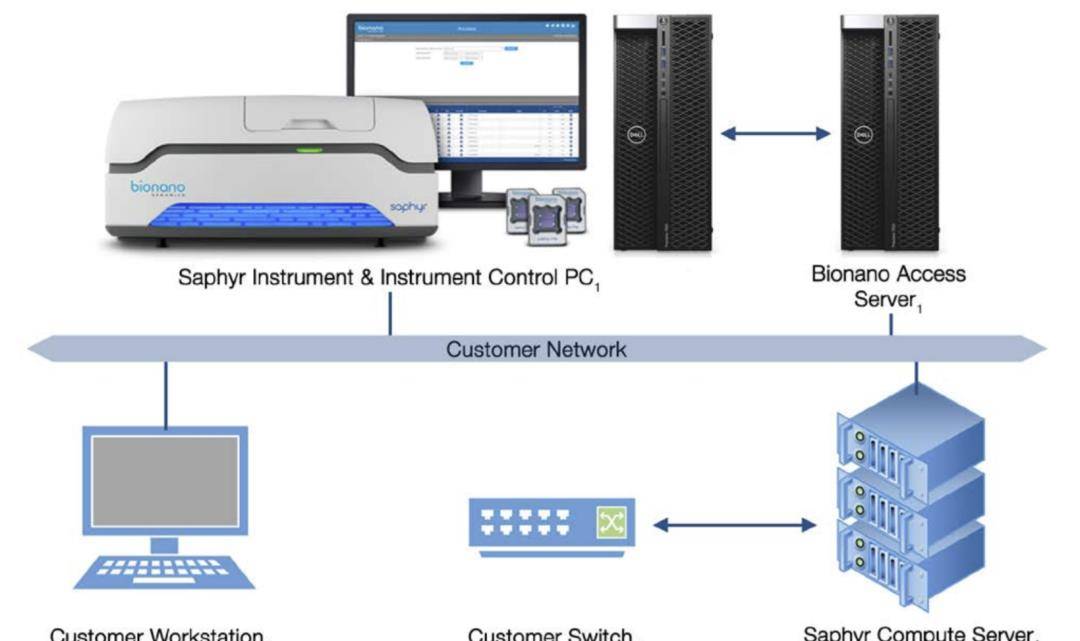 Bionano Saphyr系统数据产出及数据分析性能