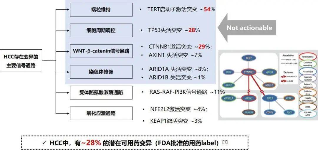 肝癌精准诊疗 biomarker 盘点，有这一篇就够了