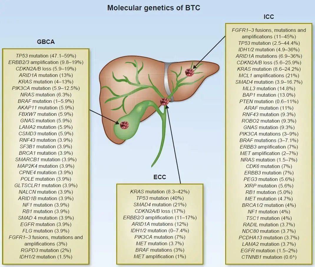肝癌精准诊疗 biomarker 盘点，有这一篇就够了