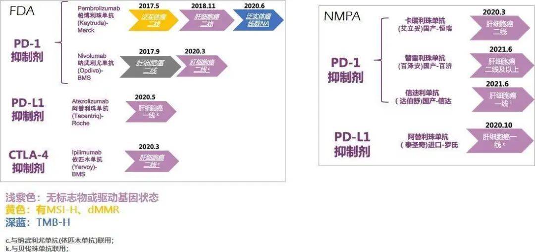 肝癌精准诊疗 biomarker 盘点，有这一篇就够了