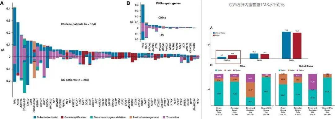 肝癌精准诊疗 biomarker 盘点，有这一篇就够了