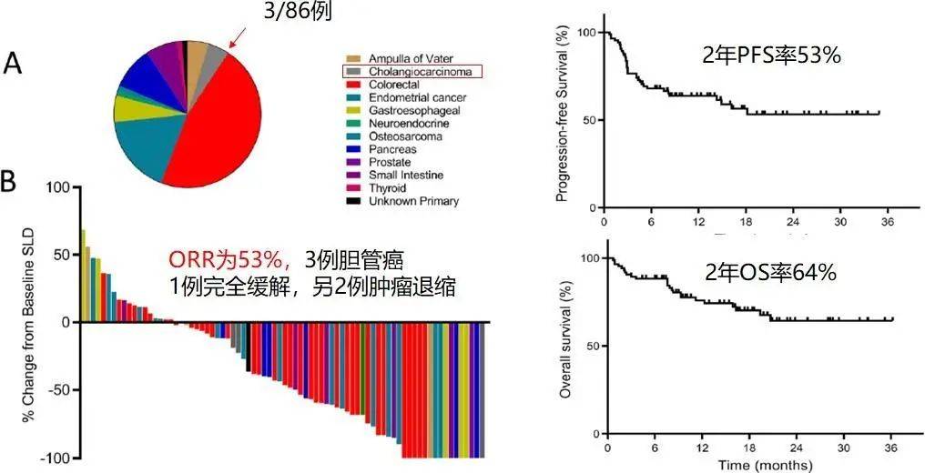肝癌精准诊疗 biomarker 盘点，有这一篇就够了