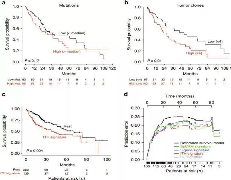 肝癌精准诊疗 biomarker 盘点，有这一篇就够了