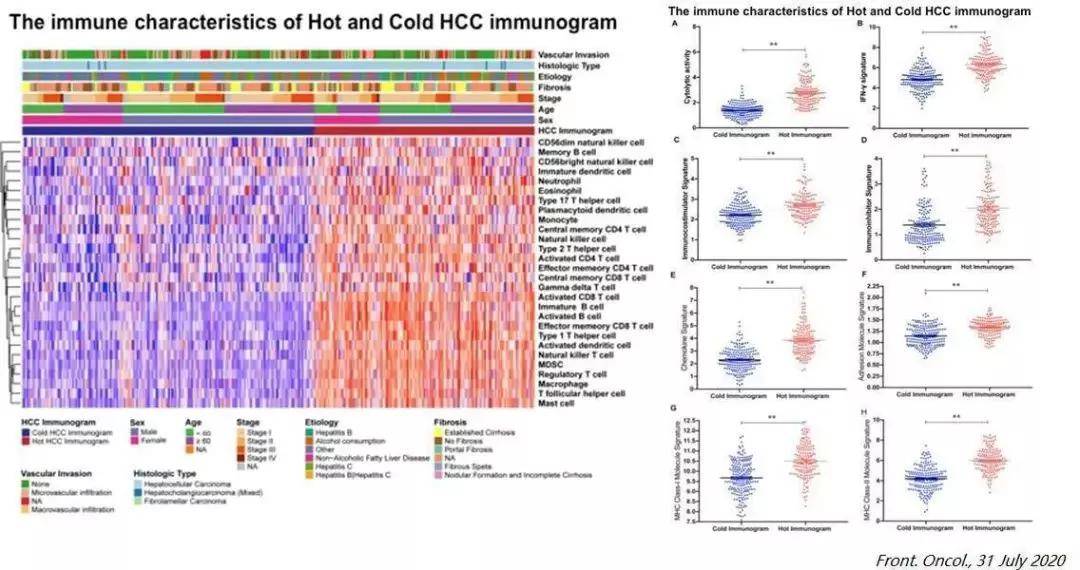 肝癌精准诊疗 biomarker 盘点，有这一篇就够了