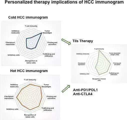 肝癌精准诊疗 biomarker 盘点，有这一篇就够了