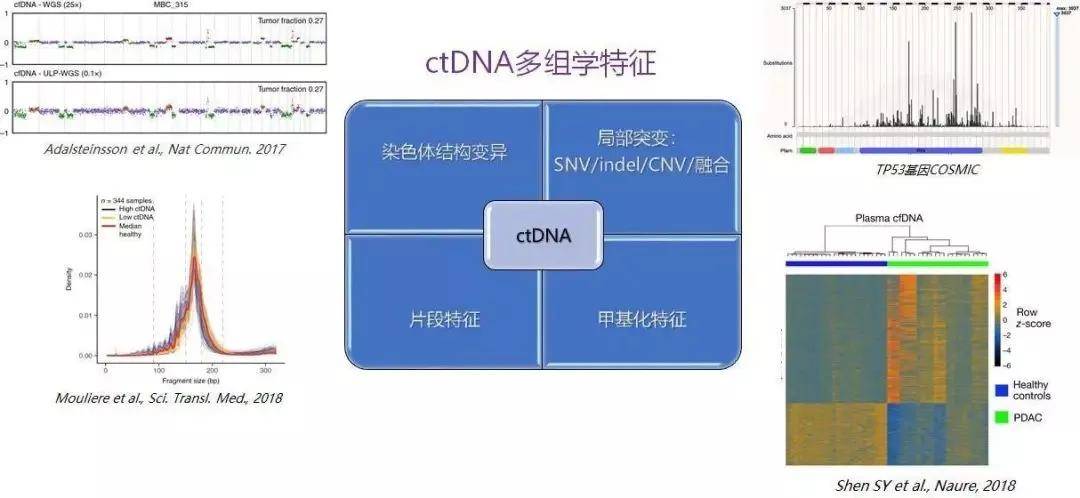 肝癌精准诊疗 biomarker 盘点，有这一篇就够了