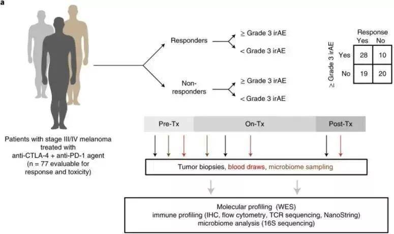 肝癌精准诊疗 biomarker 盘点，有这一篇就够了