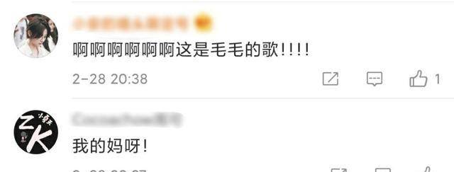 毛不易已经淘汰，到底还有多少人在挺他？