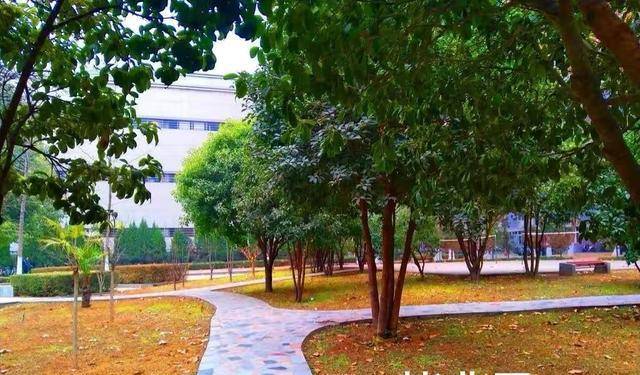 多少人在该负责的年纪，负债累累