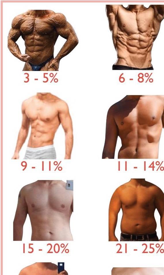 增肌期的最理想体脂百分比