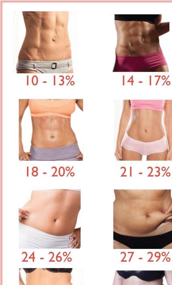 增肌期的最理想体脂百分比