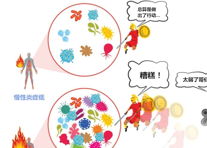 增肌期的最理想体脂百分比