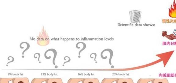 增肌期的最理想体脂百分比