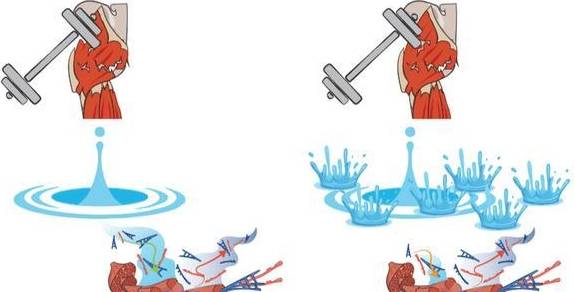 增肌期的最理想体脂百分比