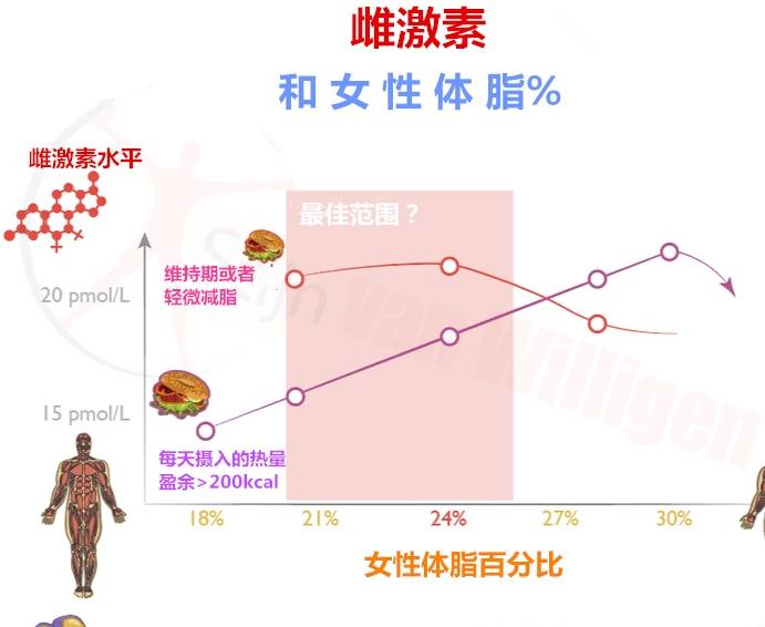 增肌期的最理想体脂百分比