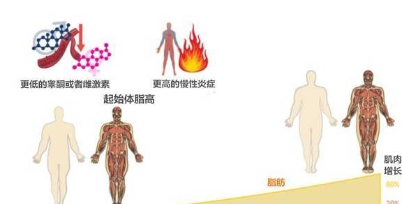 增肌期的最理想体脂百分比