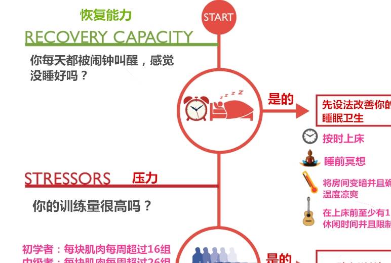 增肌期的最理想体脂百分比