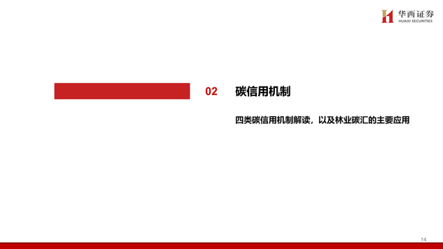 中国碳交易市场与林业碳汇前景解析