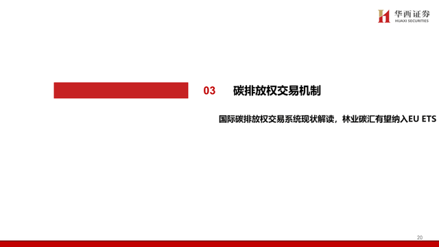 中国碳交易市场与林业碳汇前景解析