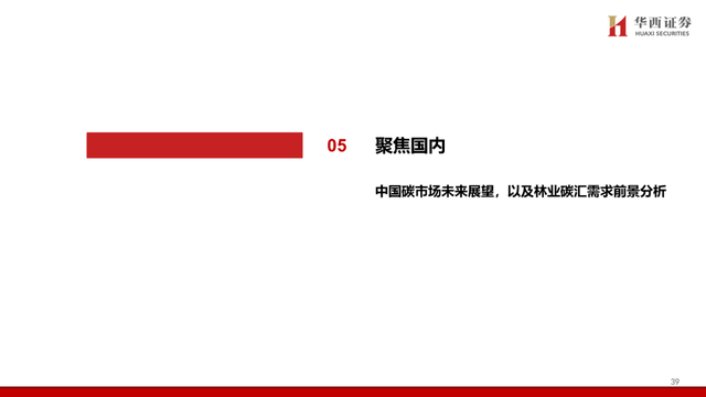 中国碳交易市场与林业碳汇前景解析