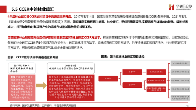 中国碳交易市场与林业碳汇前景解析