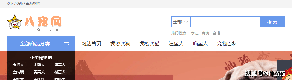 国内十大权威宠物交易网站，线上买狗买猫平台推荐