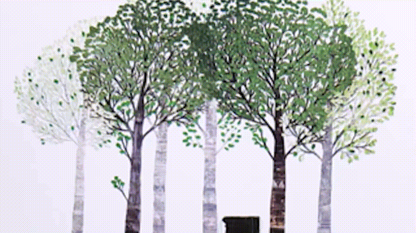 《小桂英语》 | 什么？cat是猫，而fat cat居然不是肥猫？