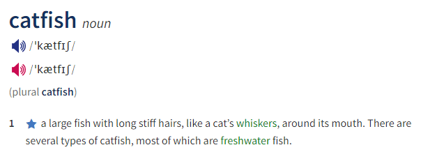 cat是猫，fish是鱼，那catfish是什么意思？你绝对想不到！