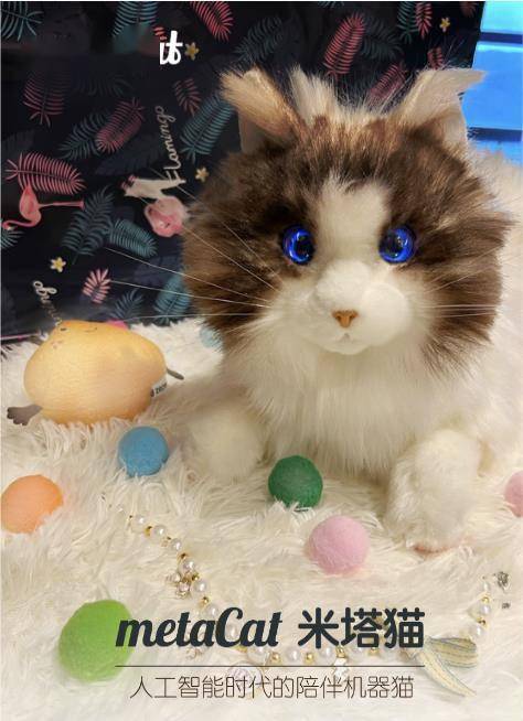 陪伴宠物米塔猫metaCat超萌上线,硬科技也可以柔软治愈