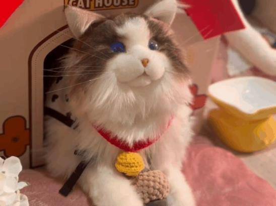 陪伴宠物米塔猫metaCat超萌上线,硬科技也可以柔软治愈