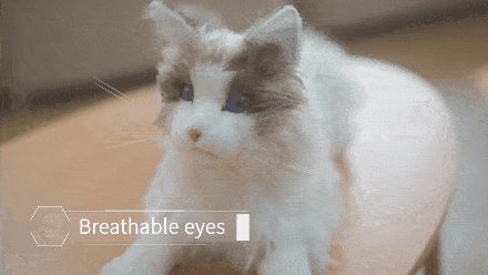 陪伴宠物米塔猫metaCat超萌上线,硬科技也可以柔软治愈