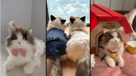 陪伴宠物米塔猫metaCat超萌上线,硬科技也可以柔软治愈