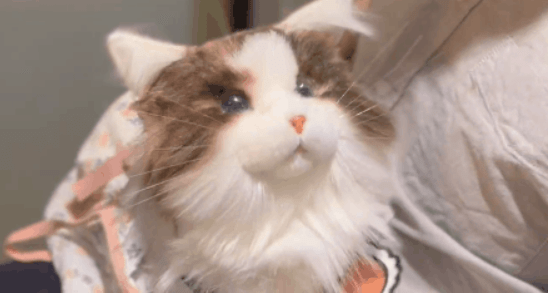 陪伴宠物米塔猫metaCat超萌上线,硬科技也可以柔软治愈