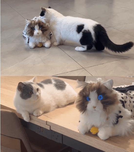 陪伴宠物米塔猫metaCat超萌上线,硬科技也可以柔软治愈