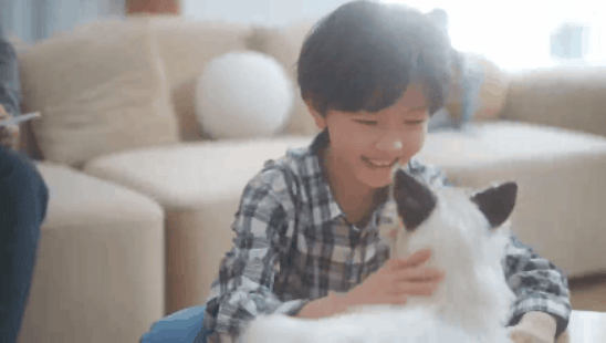 陪伴宠物米塔猫metaCat超萌上线,硬科技也可以柔软治愈