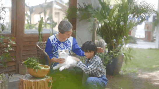 陪伴宠物米塔猫metaCat超萌上线,硬科技也可以柔软治愈