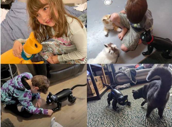 陪伴宠物米塔猫metaCat超萌上线,硬科技也可以柔软治愈