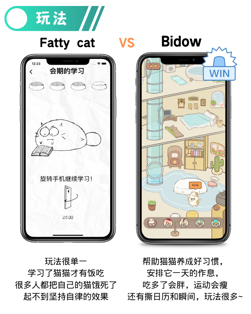 同样有一只胖猫,国外的Fatty cat和国内的Bidow到底哪个更实用?